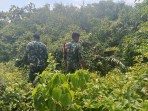 Babinsa Koramil 06/Merbau Gencar Sosialisasikan Bahaya Karhutla di Desa Meranti Bunting