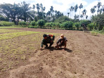 Babinsa Sertu Mahyudin Dampingi Petani Bayam dan Ingatkan Bahaya Karhutla