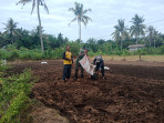 Koramil 01/Dumai Berdayakan Masyarakat Lewat Pendampingan Penyiapan Lahan Sayur Bayam