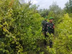 Babinsa Koramil 06/Merhau Gencarkan Patroli Karhutla untuk Cegah Kebakaran