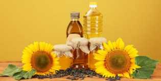 5 Manfaat Minyak Bunga Matahari bagi Kesehatan Kulit