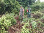 Tindak Tegas Pembakaran Lahan, Babinsa Ingatkan Bahaya Karhutla
