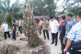 Bupati Tinjau Erosi Sungai Bilah di Desa Tanjung Harapan dan  Jalan Desa Sukosari Kecamatan Pangkatan