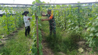 Babinsa Kelurahan Gurun Panjang Perkuat Sinergi dengan Petani dan PPL