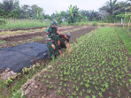 Kegiatan Sosialisasi Tanaman Kangkung di Dumai Selatan Dukung Program Ketahanan Pangan