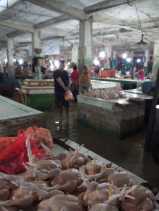 Pedagang Resah, Kalau Pasang Pasar Ikan Terapung Tenggelam