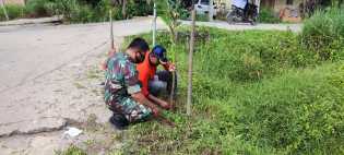 Sertu Mahyudin Goro Tanam Pohon Pinang