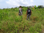 Serma F. Purba Imbau Masyarakat RT 5 Bukit Timah Cegah Karhutla Dengan Tidak Membakar Lahan