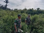 Babinsa Koramil 06/Merbau Perketat Patroli Karhutla untuk Cegah Kebakaran