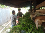 Pencegahan Bahaya Karhutla Oleh Babinsa Sertu Boby Rahman