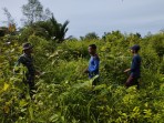 Babinsa Koramil 06/Merbau Gencarkan Komsos dan Patroli Karhutla di Kepulauan Meranti