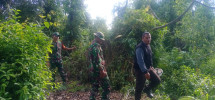 Patroli Hutan Oleh Serda CJ Silalahi dan Serda Syahrul Ismail