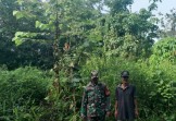 Patroli dan Sosialisasi Karhutla Babinsa Disambut Antusias Warga Kuala Merbau