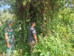 Antisipasi Kebakaran, Babinsa Ajak Warga Susuri Lahan Gambut Kering