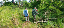 Dua Personil Koramil 06 Merbau Monitoring Wilayah