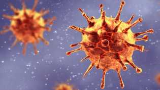 Asal Usul Virus Corona Bukan dari China? Ada di Spanyol Sejak Maret 2019