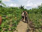 Petani Kacang Panjang Senang Dapatkan Edukasi Dari Sertu Abu Kosim