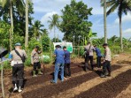 Polsek Teluk Belengkong dan Pemdes Saka Rotan Tanam Jagung Serentak di Lahan Produktif