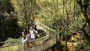 Taman Safari Bogor Buka Kembali, Ini Harga Tiket dan Protokolnya