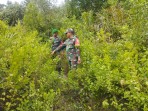 Patroli Rutin Babinsa Tekan Resiko Karhutla di Kepulauan Meranti