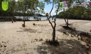 Destinasi Ekowisata Pesisir Pantai Terumbu Mabloe