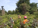 Desa Mekar Delima Siaga, Babinsa Gencarkan Pencegahan Karhutla