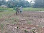 TNI Bantu Petani Atasi Kendala Pertanian, Wujudkan Ketahanan Pangan