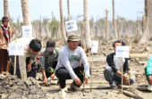 Sempena Mangrove Sedunia,  Antisipasi Krisis Iklim Generasi Muda Dan Perempuan Garda Terdepan Pemulihan Ekosistem Mangrove