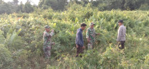 Koramil 06/Merbau Berupaya Tekan Karhutla Dengan Patroli dan Sosialisasi di Wilayah Binaan