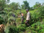 Jangan Bakar Lahan! Babinsa Serukan Pencegahan Karhutla di Kepulauan Meranti