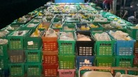 BC Tembilahan Gagalkan Penyeludupan 15 Ribu Kg Buah Mangga Ilegal