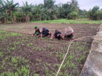 Babinsa Koramil-01 Dumai Berikan Dukungan Pertanian Kangkung di Kelurahan STDI