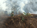 Sertu Aslim Lubis dan Personil Koramil PWK 04 Ikut Memadamkan Kebakaran Hutan