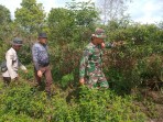 Sinergi Babinsa dan Masyarakat Tasik Putri Puyu Tekan Risiko Karhutla