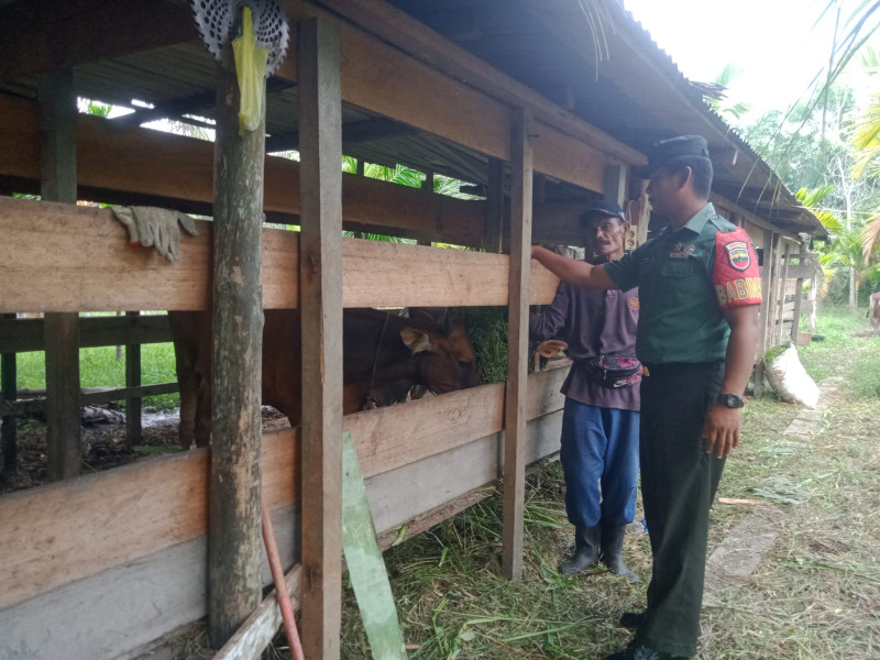 Giat Cegah PMK Oleh Personil Koramil 06 Merbau