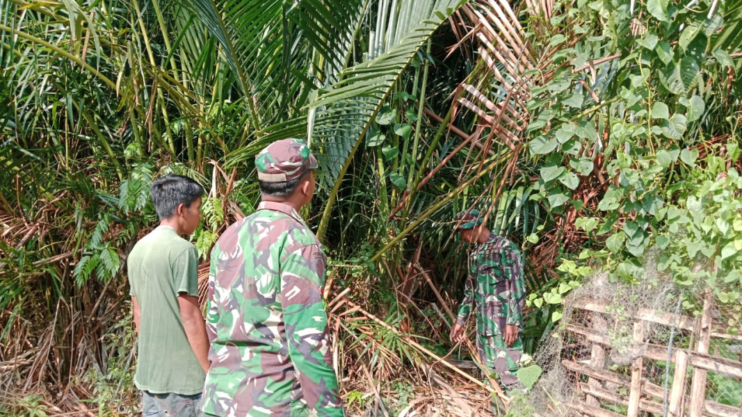 Babinsa Koramil 06/Merbau Gelar Sosialisasi Karhutla di Desa Tanjung Bunga