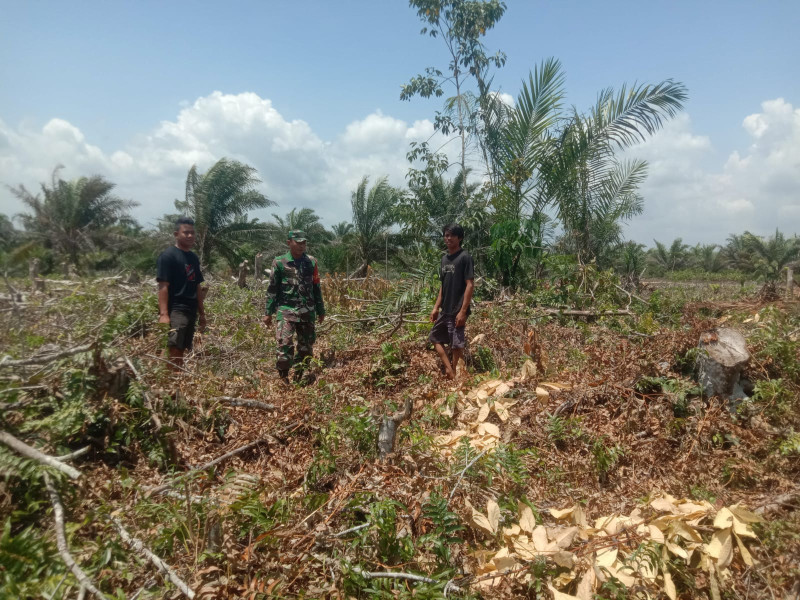 Mencegah Terjadinya Praktik Pembakaran Hutan dan Lahan, Giat Patroli Dilakukan Sertu Ramli