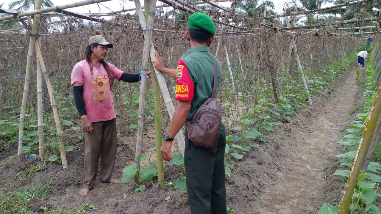 Pendampingan Petani Sayur dan Buah Oleh Serda Sugianto