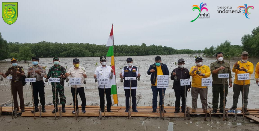 Pantai Terumbu Mabloe Dipilih sebagai Tempat Penanaman Bibit Mangrove