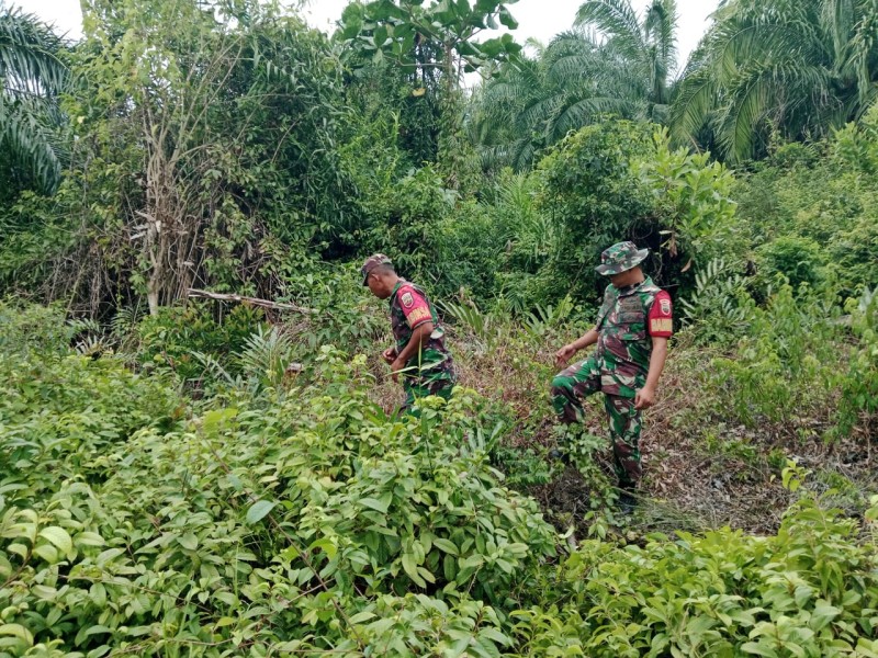Babinsa Koramil 06/Merbau Perketat Patroli Karhutla, Cegah Dini Kebakaran Hutan