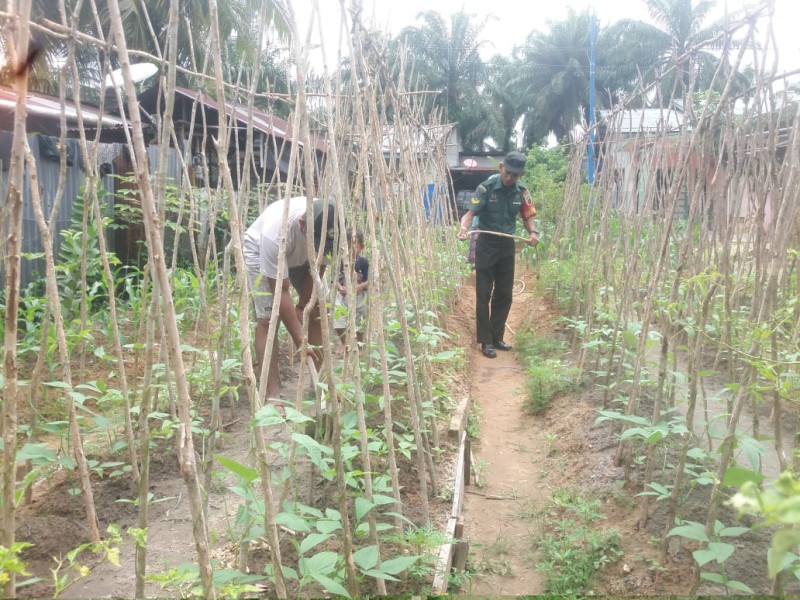 Sertu Nono Sambangi Petani Kacang Panjang