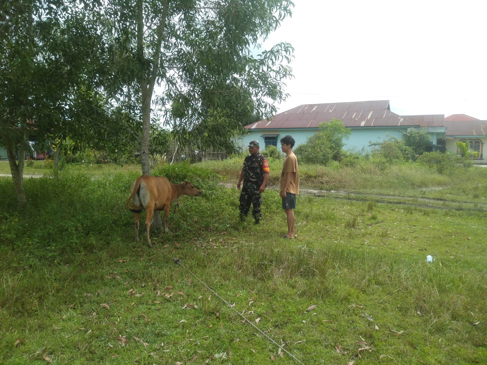 Giat Pencegahan PMK Oleh Serka Fahrizal Purba