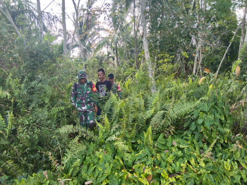 Komsos dan Patroli, Salah Satu Cara Babinsa Koramil 06 Merbau Dalam Mengantisipasi Karhutla