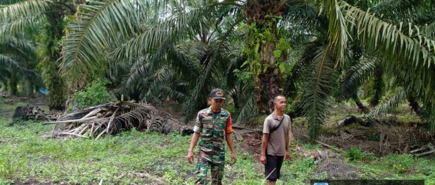 Serda Sugianto Sosialisasikan Pencegahan Karhutla