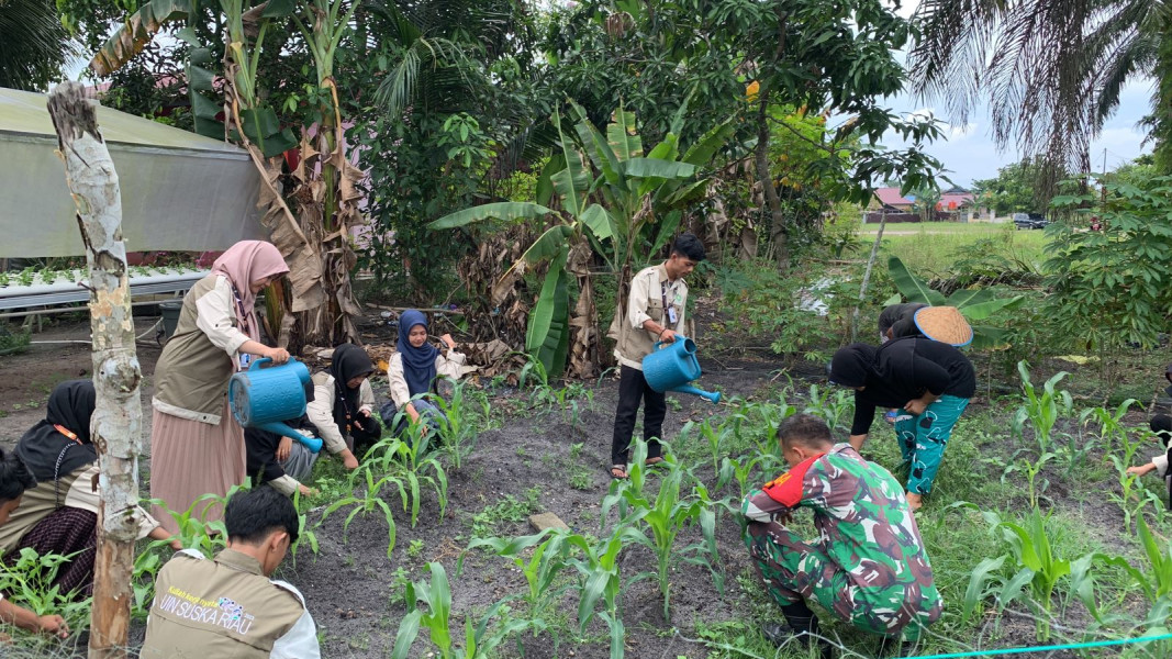 Serka Tomy dan Mahasiswa UIN Laksanakan Giat Pendampingan Guna Memperkuat Ketahanan Pangan