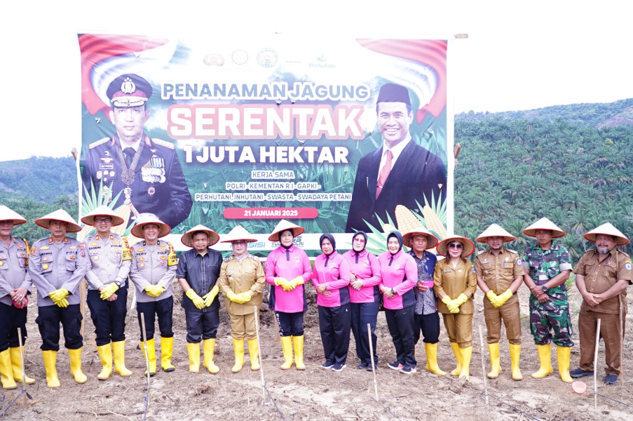 Program Ketahanan Pangan, Pemkab Labuhanbatu Dukung Penanaman Jagung Serentak Satu Juta Hektare