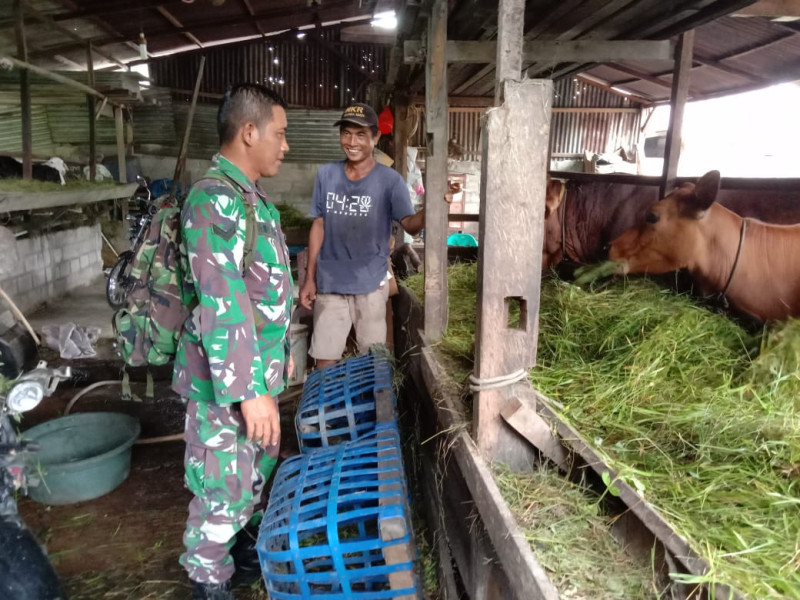 Sertu Jainal Arifin Ingatkan Peternak Agar Selalu Membersihkan Kandangnya