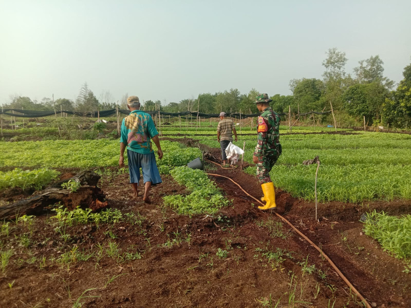 Dukungan Serda Priyo Sudarmo Untuk Peta i di Daerah Binaannya