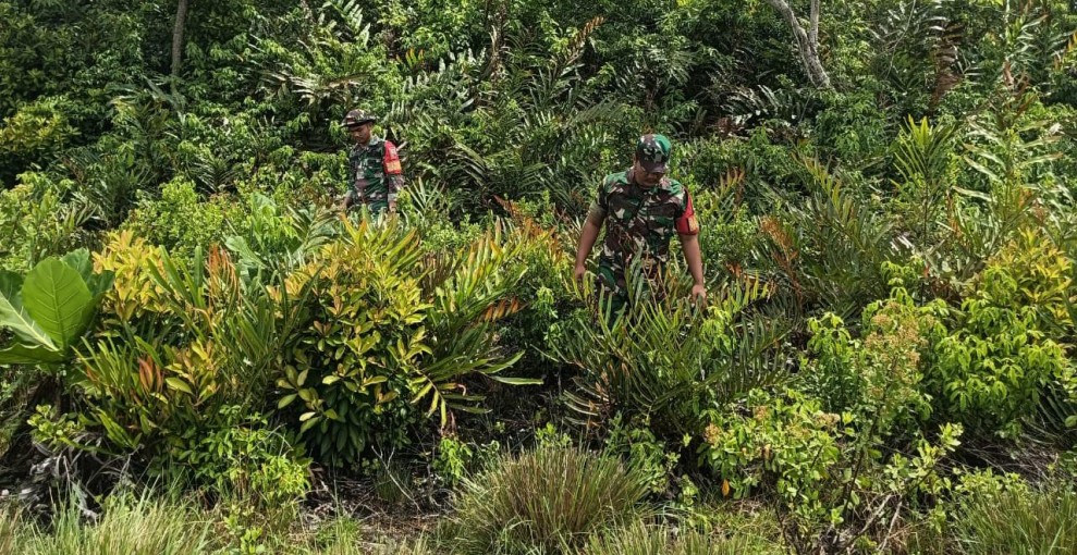 Babinsa Koramil 06/Merbau Intensifkan Patroli untuk Cegah Karhutla di Kepulauan Meranti