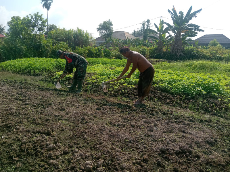 Serka Suandi Dorong Masyarakat Kelurahan Mekarsari Tanam Bayam untuk Peningkatan Gizi